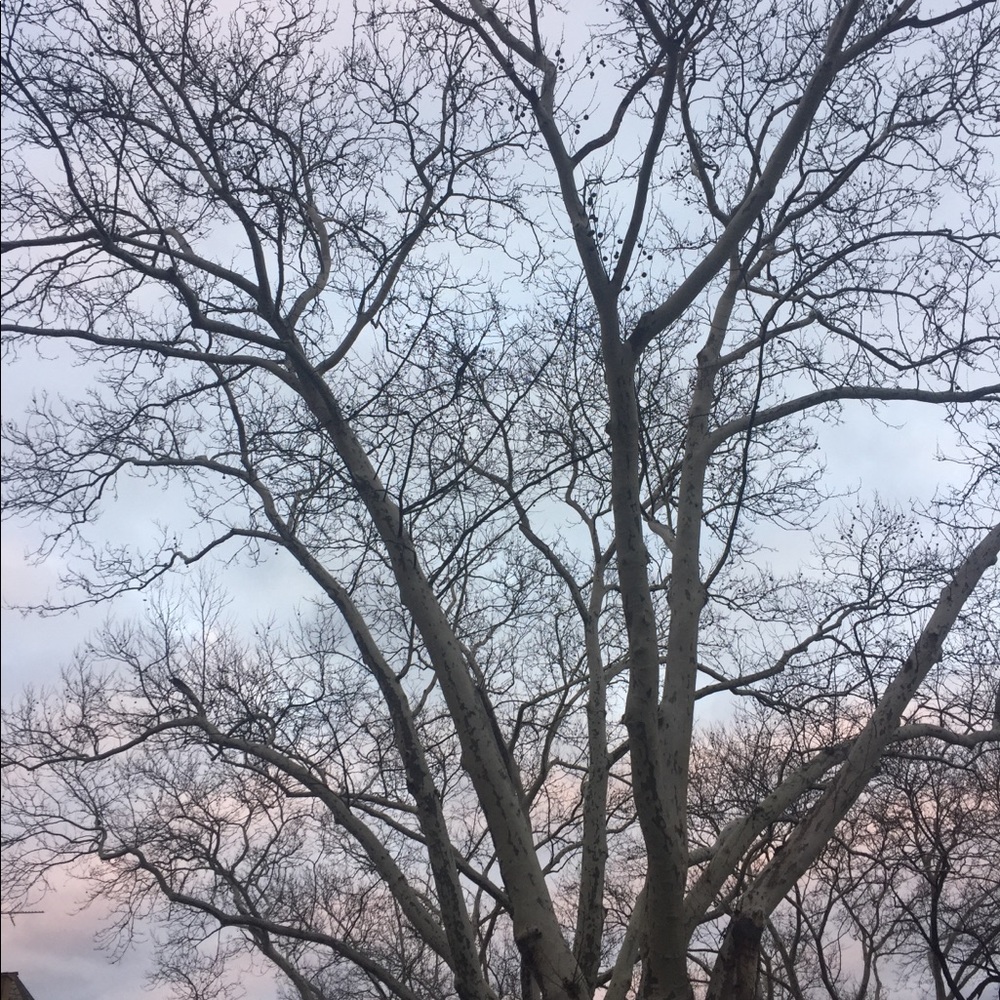 Meet your Posher, Maggie